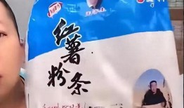 东北雨姐爆料事件视频播放,揭秘事件背后真相